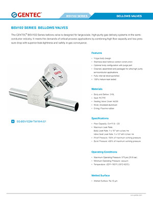 BSV102 Series Bellows Valves 